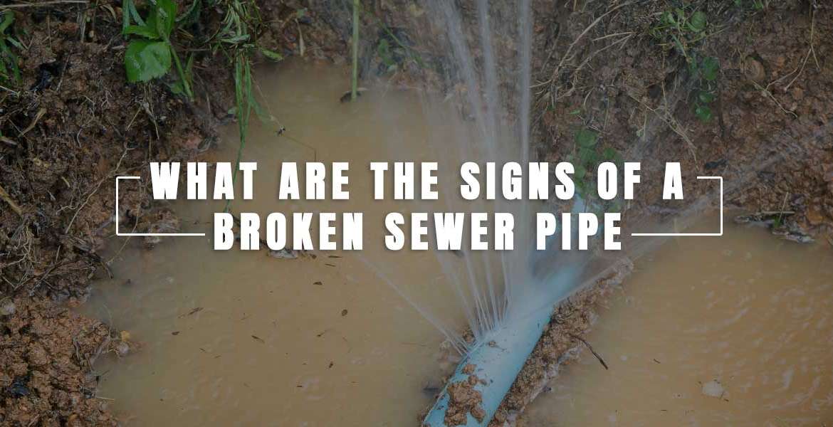 "What are the Signs of a Broken Sewer Pipe?"
