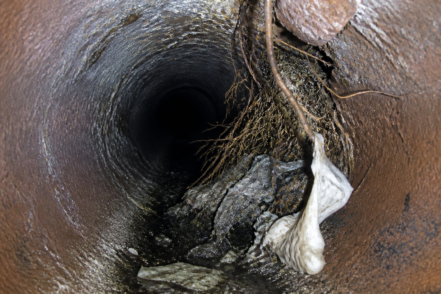 Sewer camera view of tree roots invading an aging Houston residential sewer pipe