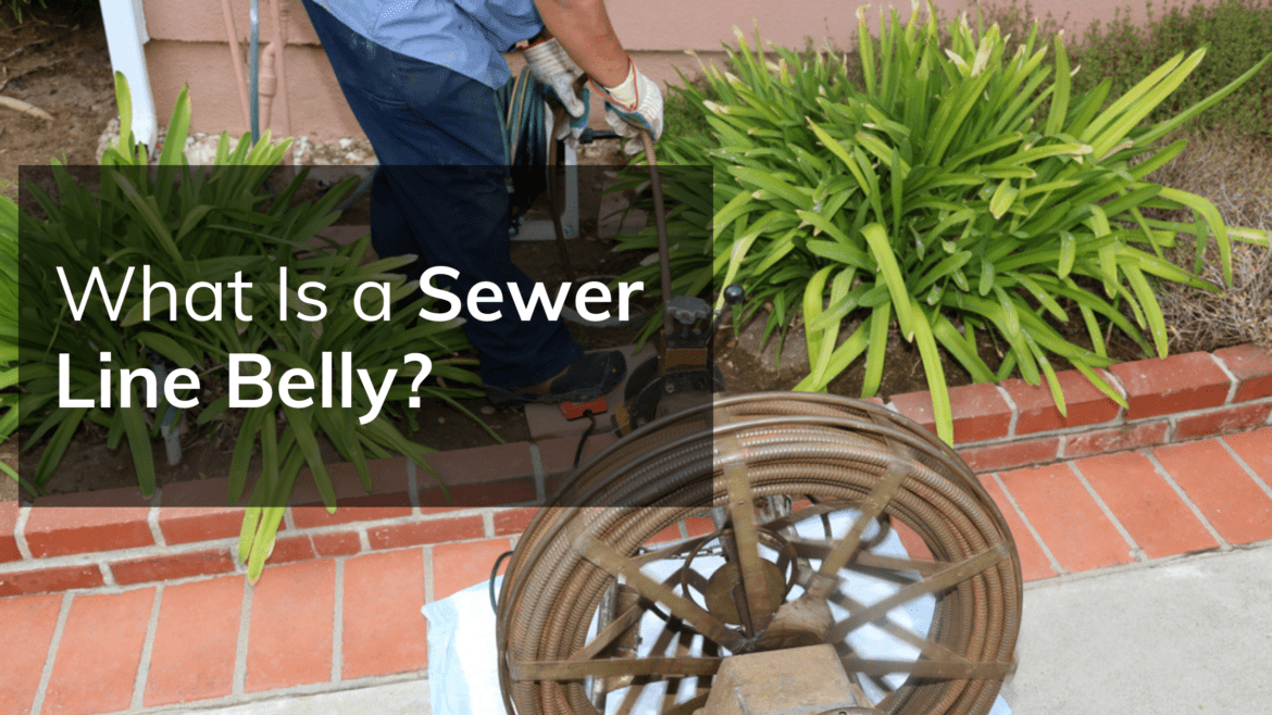 Professional Plumber Repairing a Home Sewer Line