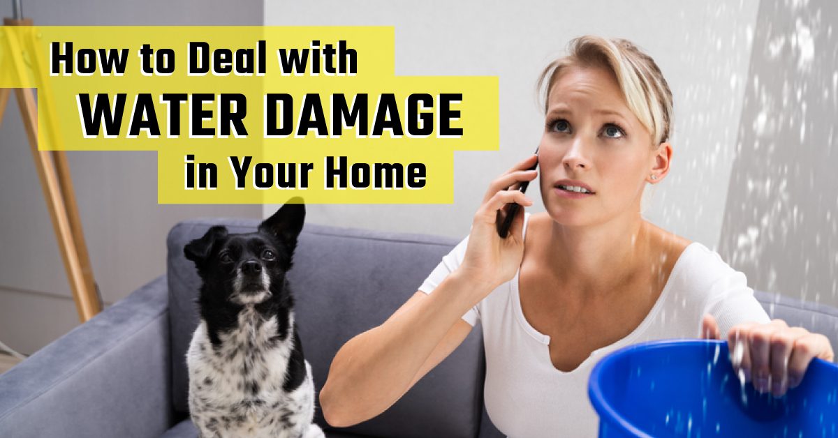 Woman Holding a Bucket While Water is Dripping from the Ceiling