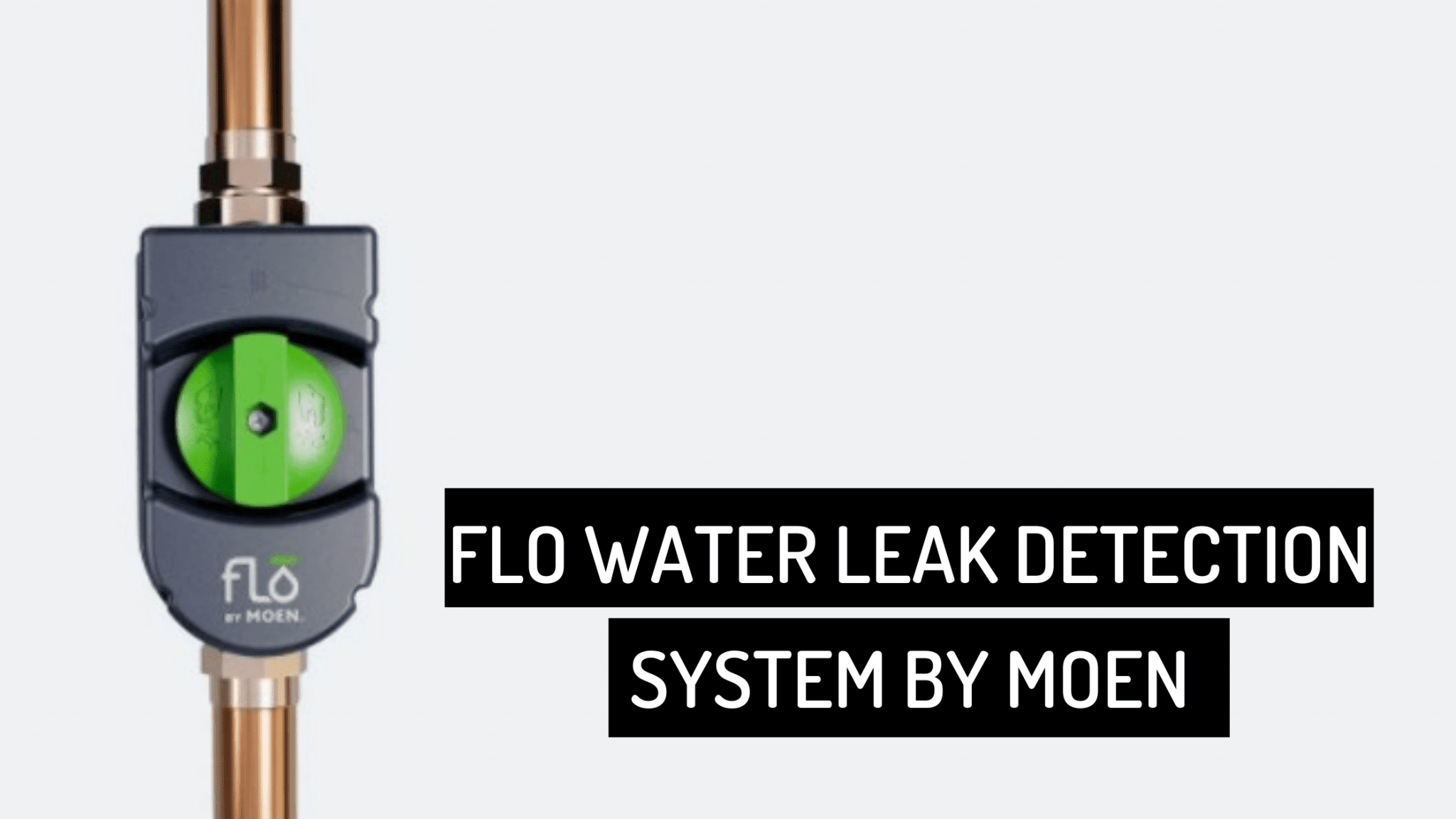 FLO by Moen Water Leak Detection System A Smart Move