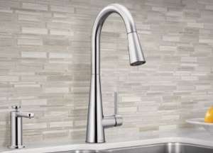 moen